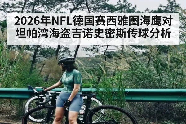 2026年NFL德国赛西雅图海鹰对坦帕湾海盗吉诺史密斯传球分析